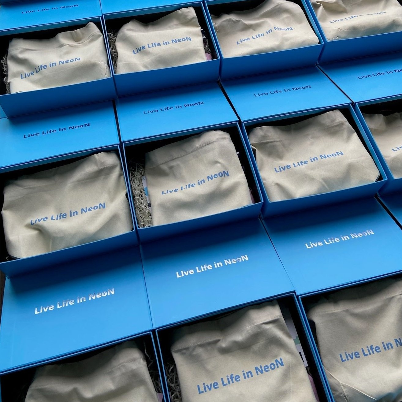 Corporate Gift / Media Kit [Fully Customised]